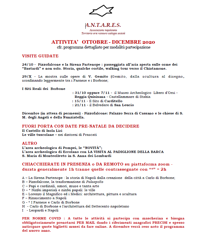 Programma sintetico